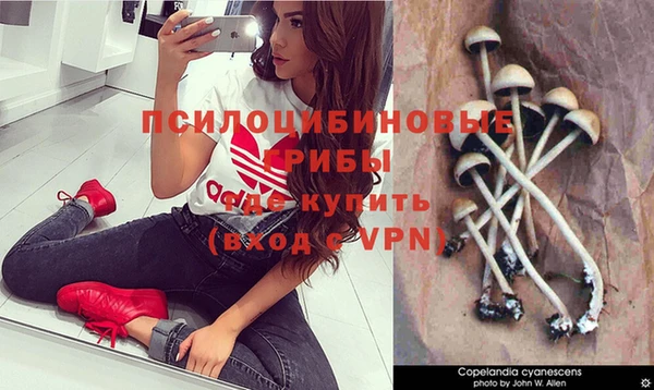 каннабис Алзамай